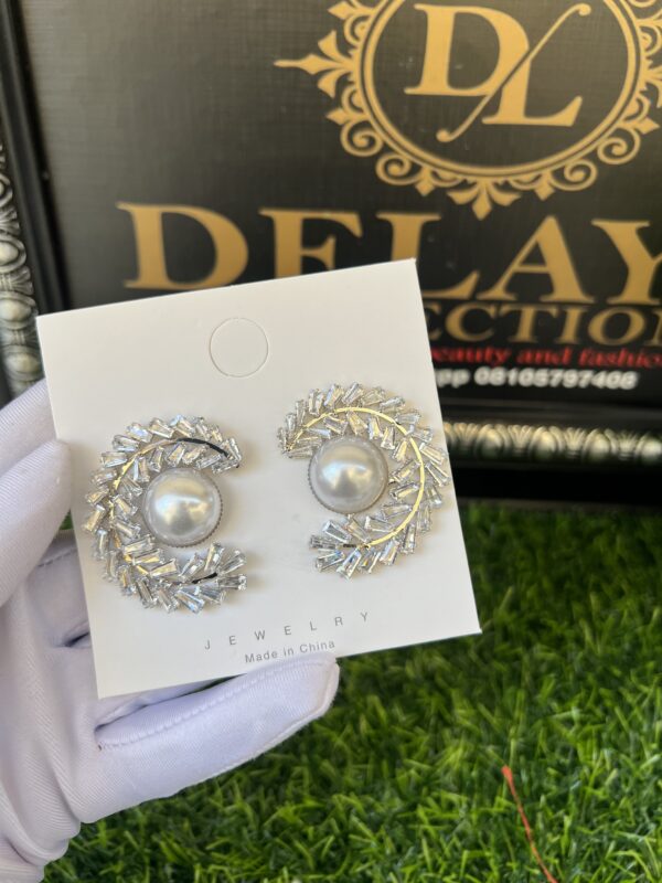 Silver stoned earrings