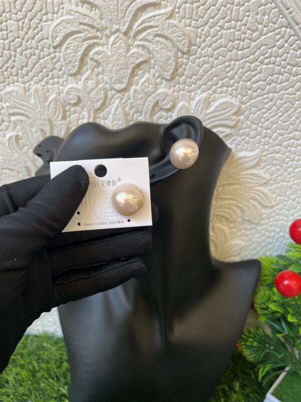 Mimi acrylic earrings