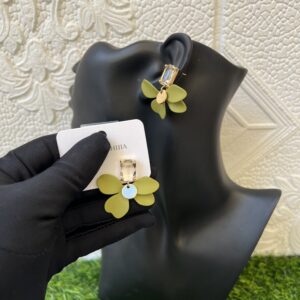 Classy stoned earrings