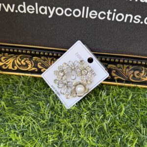 Amani silver stoned brooch