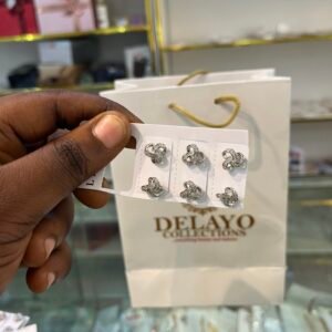 Bisola Silver Studs